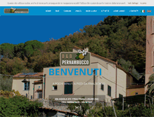 Tablet Screenshot of pernambucco.com